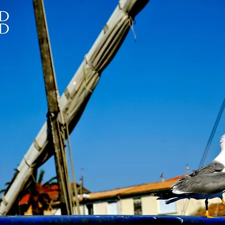 Escapade Au Soleil B002 2 Dans Sur La Apartment *